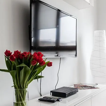 Executive Galeria Park Apartment
